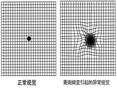 微信圖片_20220129093519.jpg 微信圖片_20220129093519.jpg