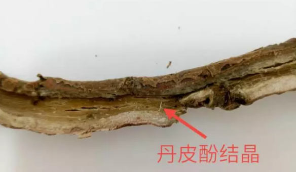 圖片3.png