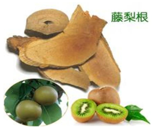 微信圖片_20210924103357.png