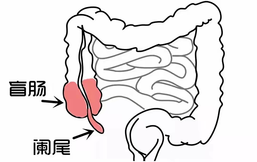 微信圖片_20220628122614.png 微信圖片_20220628122614.png