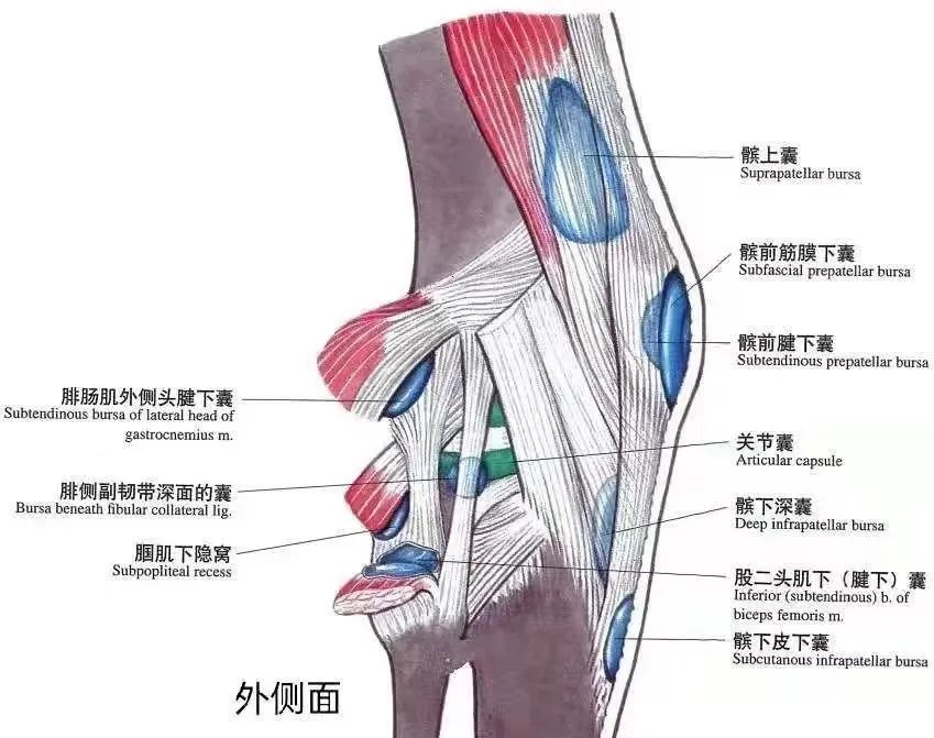 微信圖片_20220516102546.jpg 微信圖片_20220516102546.jpg